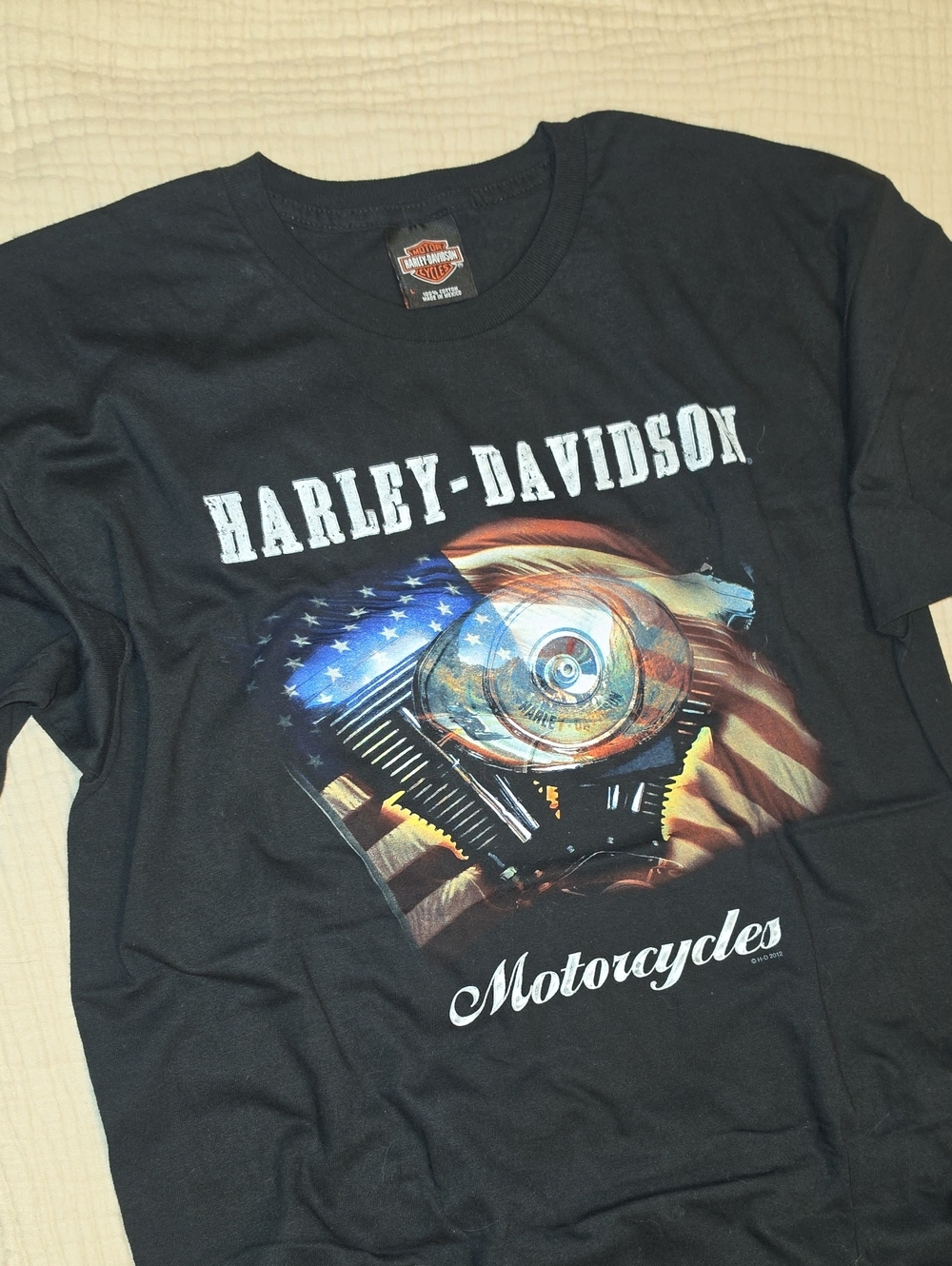 Mens Harley-Davidson Tee